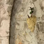 La Cle De La Porte Rentals Διαμέρισμα
